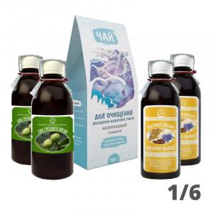 Детокс-курс 180 дней