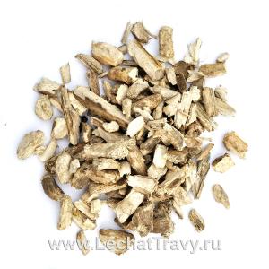 Подсолнечник однолетний (корни) (50г)