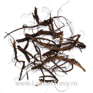 Лапчатка белая (корни) (50г)