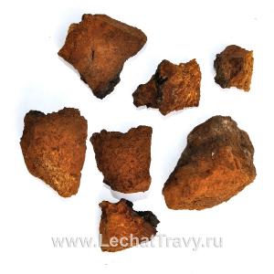 Чага берёзовая (гриб) (50 г)