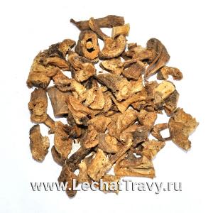 Дягиль (дудник), (корни) (50г)