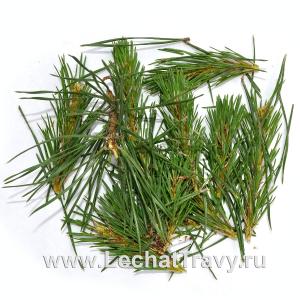 Сосна (хвоя) (50г)